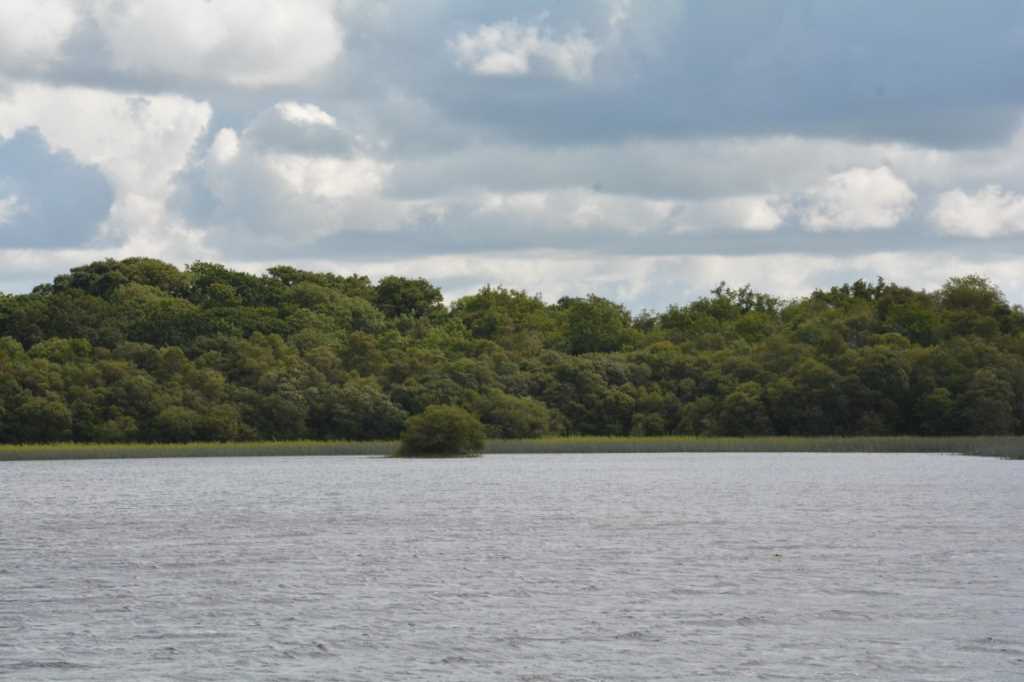 DSC_6115Mittel_.JPG